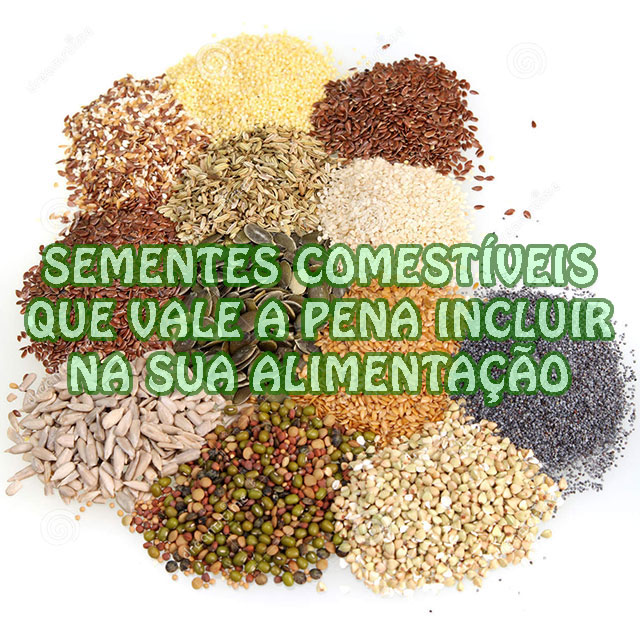 Sementes comestíveis que vale a pena incluir na sua alimentação